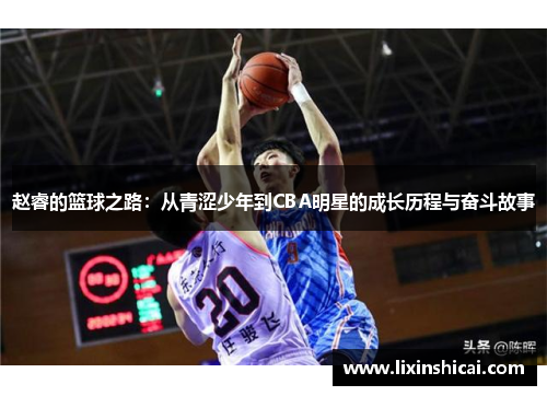 赵睿的篮球之路：从青涩少年到CBA明星的成长历程与奋斗故事